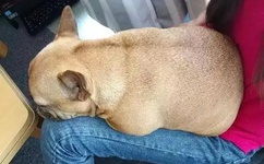 中文数字字母乱码2020